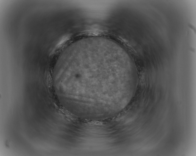 X0000097651446200803071459