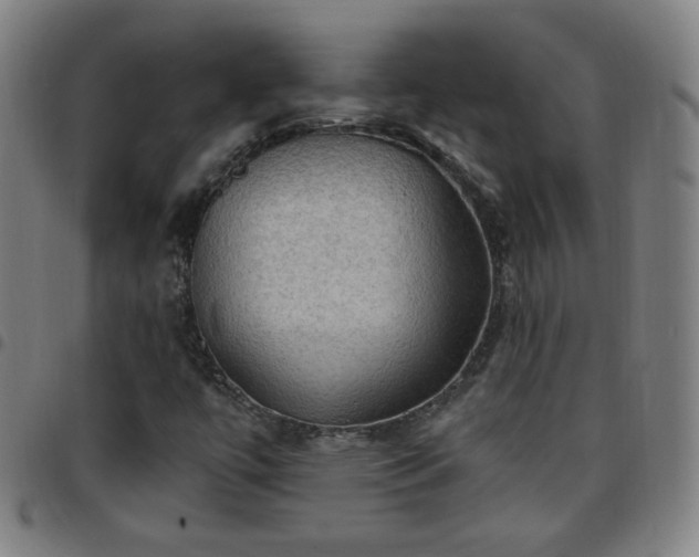 X0000097651447200803071459