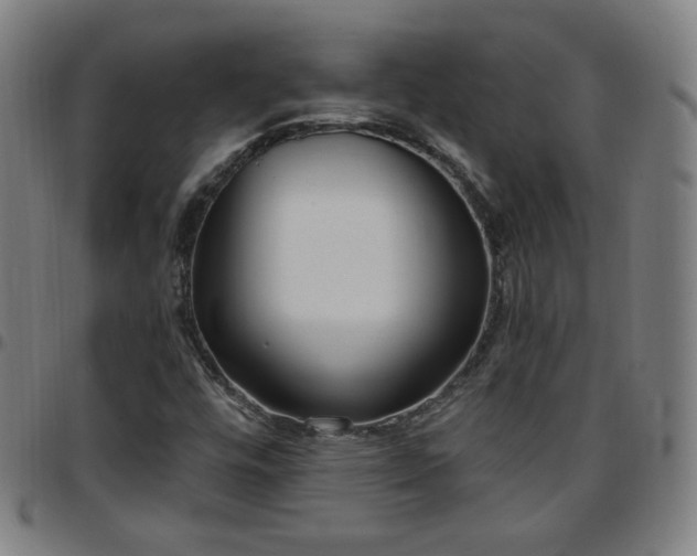 X0000097651448200803071458