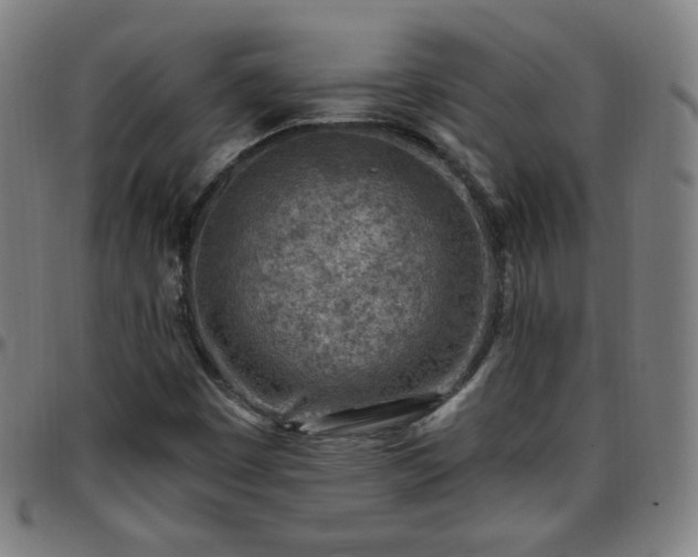 X0000097651449200803071458