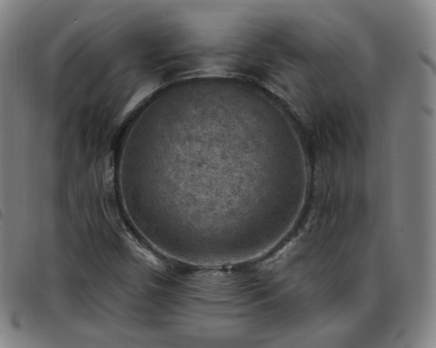 X0000097651450200803071458