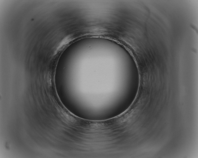 X0000097651451200803071458