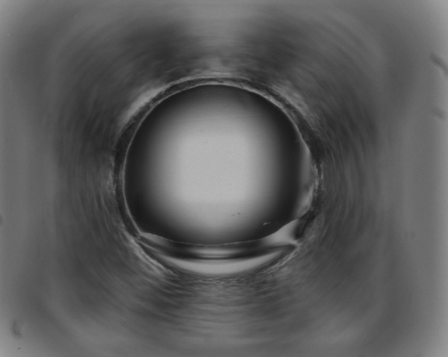 X0000097651452200803071458