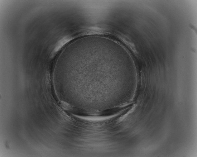 X0000097651453200803071458