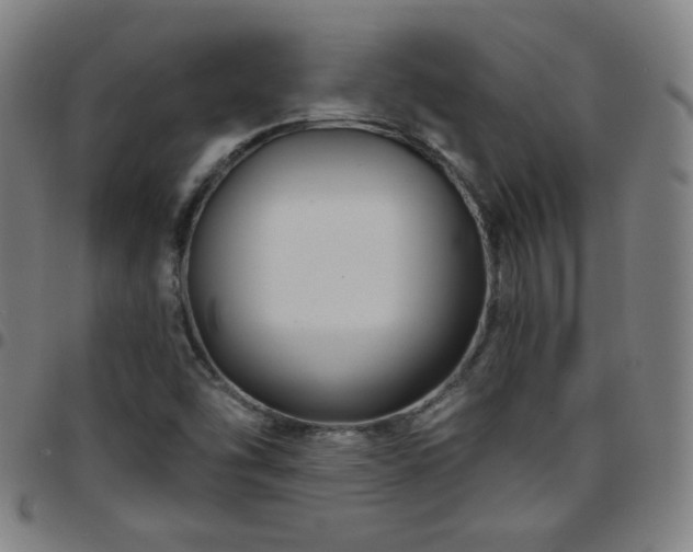 X0000097651454200803071458