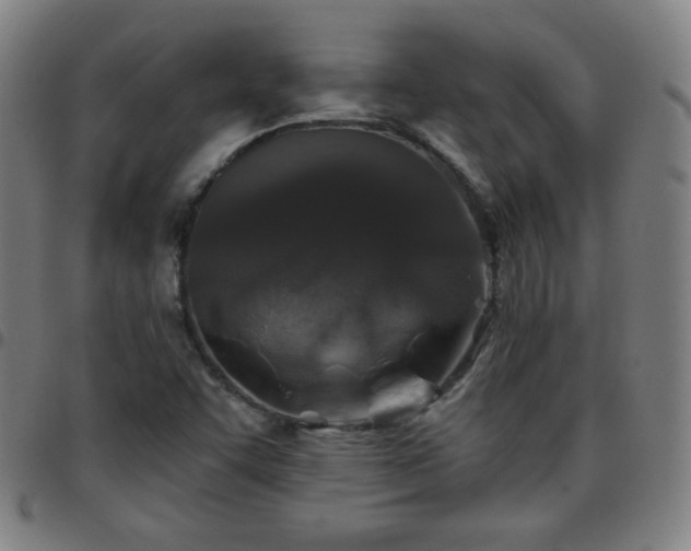 X0000097651455200803071458