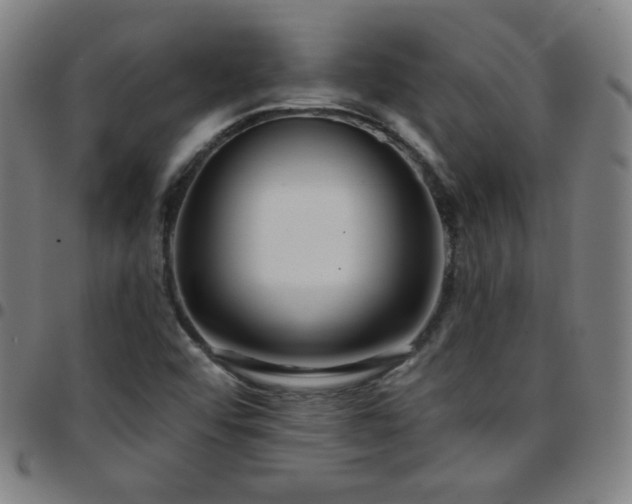 X0000097651456200803071458