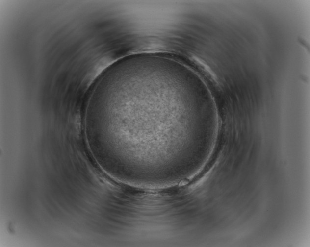 X0000097651457200803071458