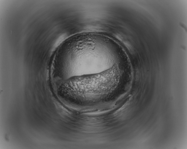 X0000097651459200803071458