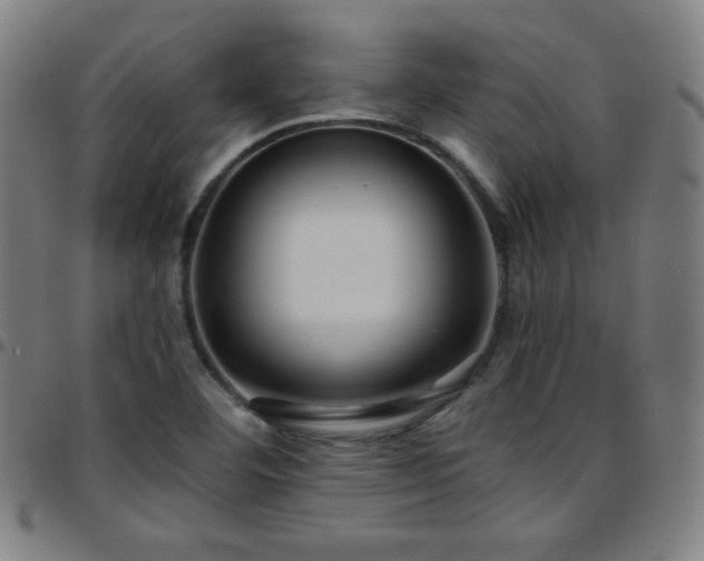 X0000097651460200803071458