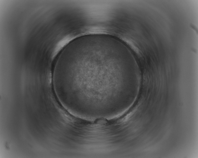 X0000097651461200803071458