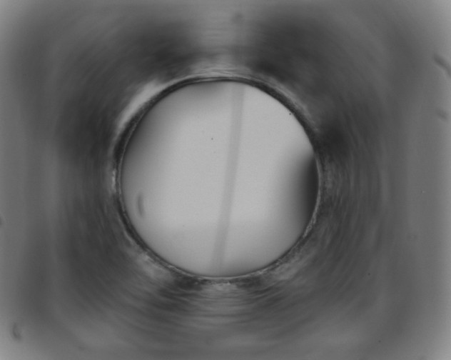 X0000097651462200803071458