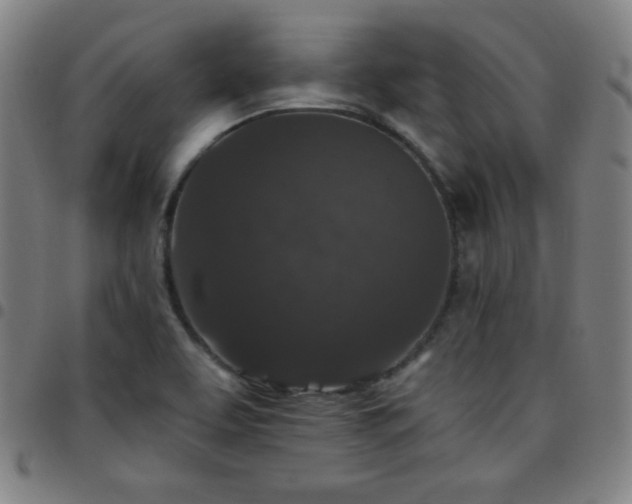 X0000097651463200803071458