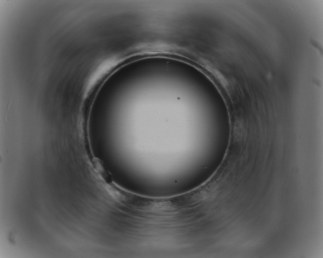 X0000097651464200803071458