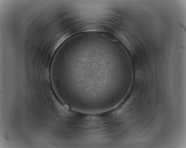 X0000097651465200803071458