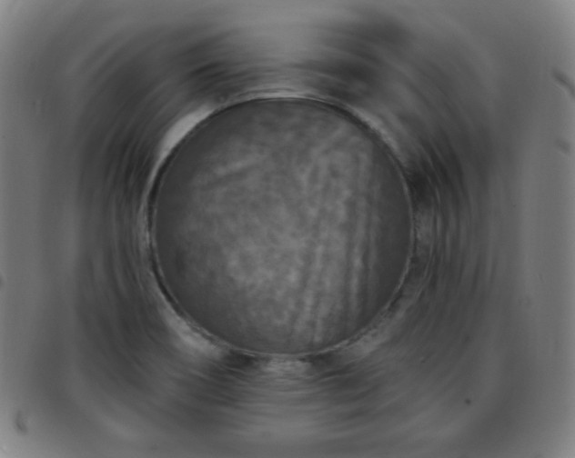 X0000097651466200803071458