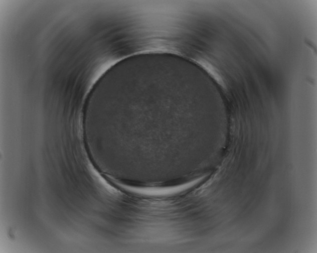 X0000097651468200803071458