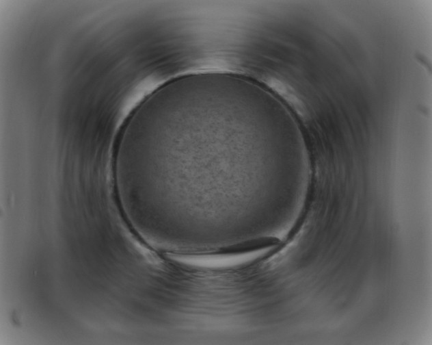 X0000097651469200803071458