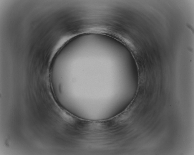 X0000097651470200803071458