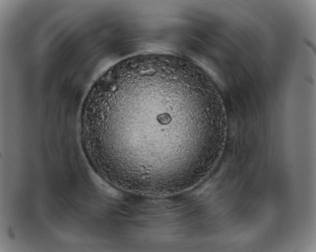 X0000097651471200803071458