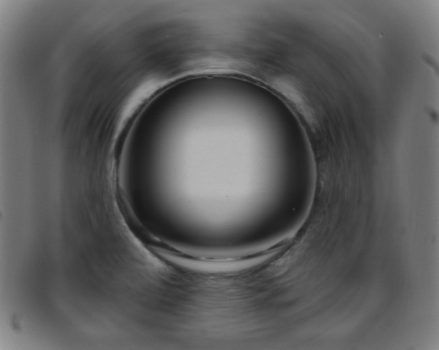 X0000097651472200803071458