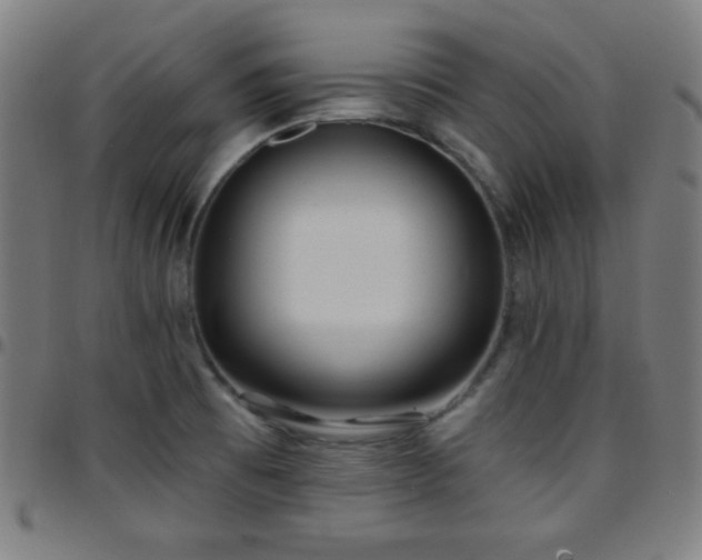 X0000097651473200803071458