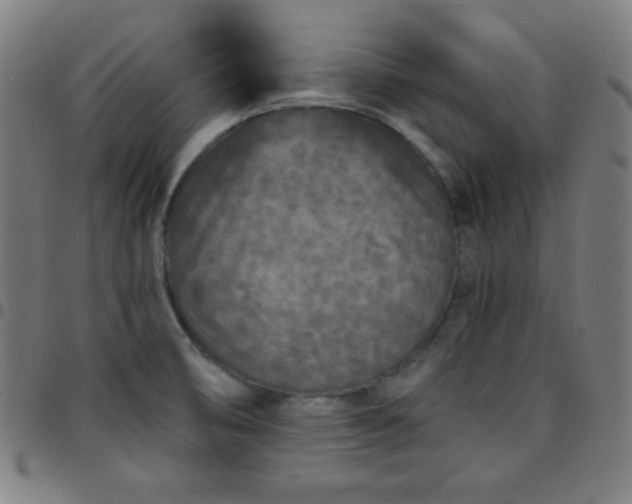 X0000097651474200803071458