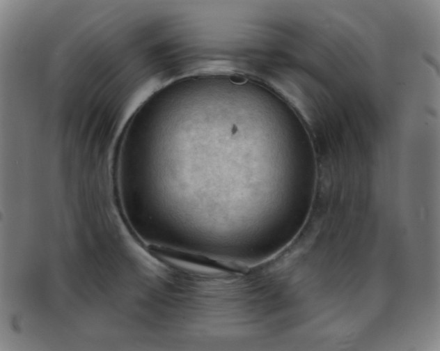 X0000097651475200803071458