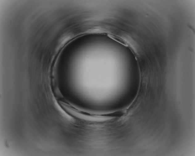 X0000097651476200803071458