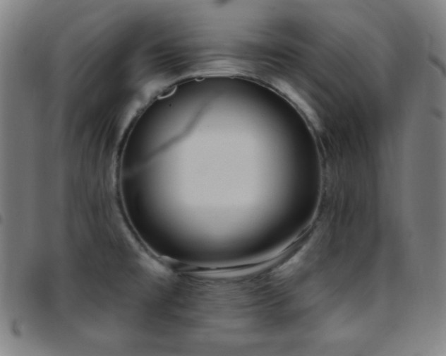 X0000097651477200803071458