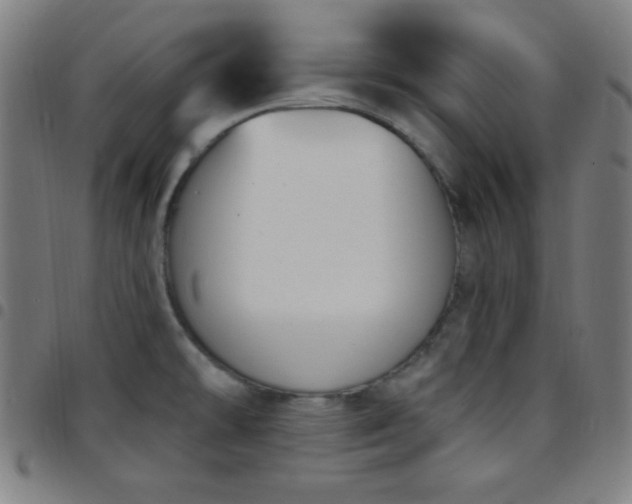 X0000097651478200803071458