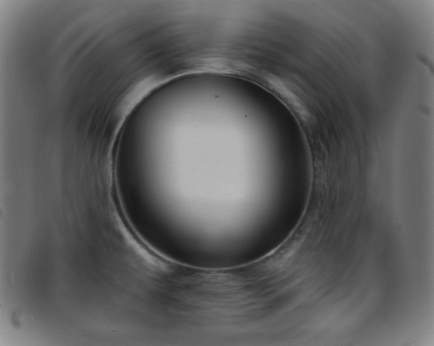 X0000097651479200803071458