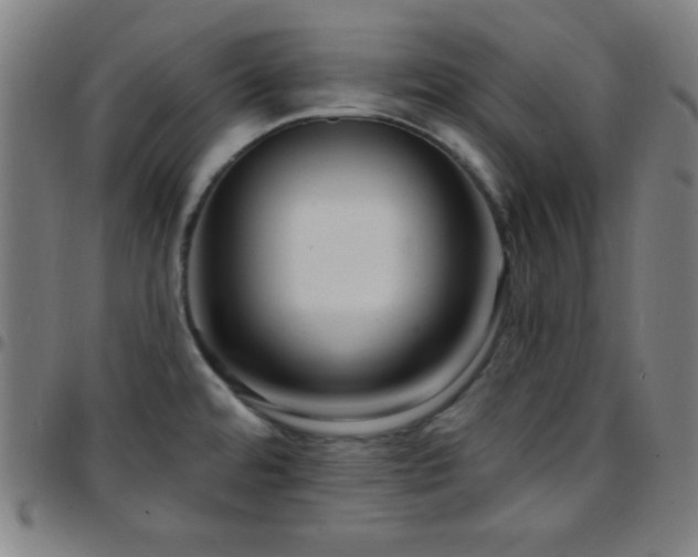 X0000097651480200803071458