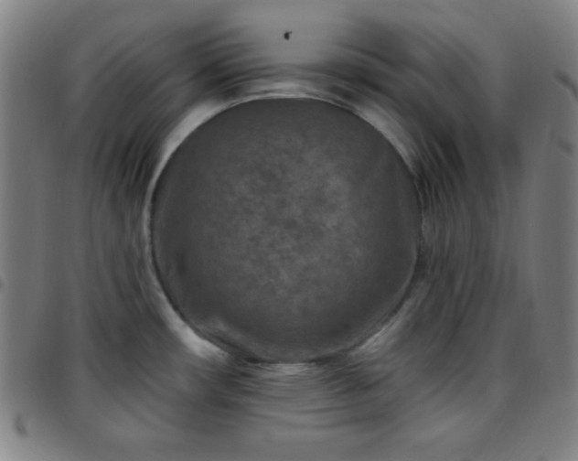 X0000097651482200803071458