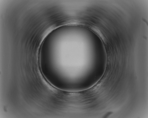 X0000097651483200803071458