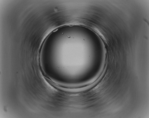 X0000097651484200803071458