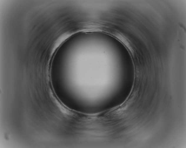 X0000097651485200803071458