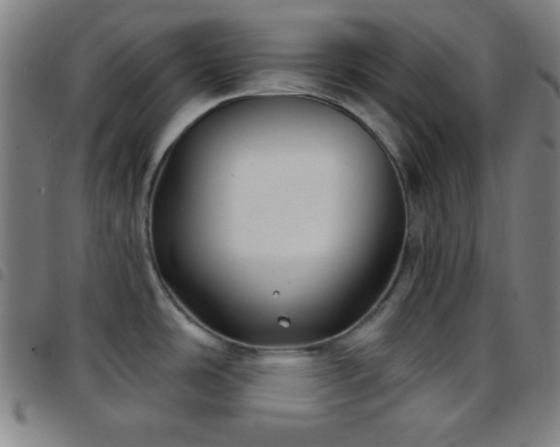 X0000097651486200803071458