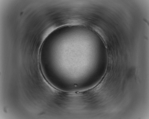 X0000097651487200803071458