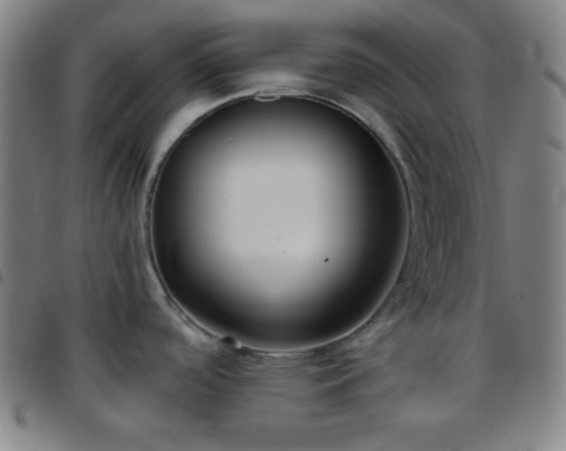 X0000097651488200803071458