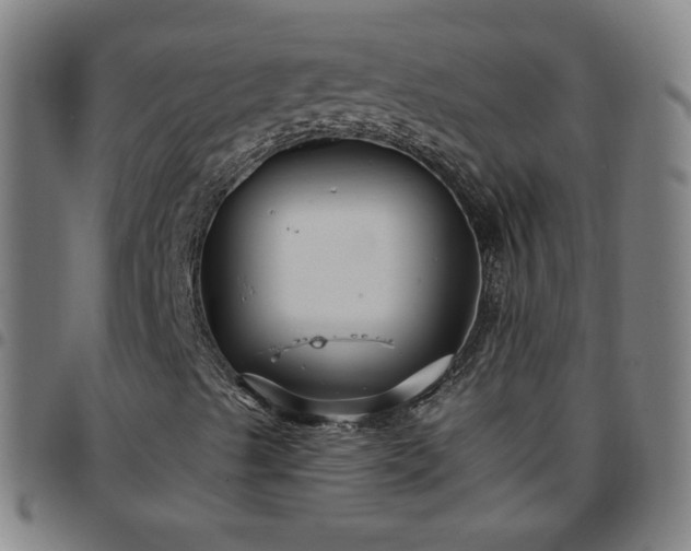 X0000097651489200803071457