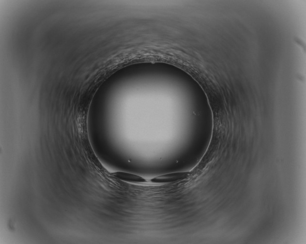 X0000097651490200803071457