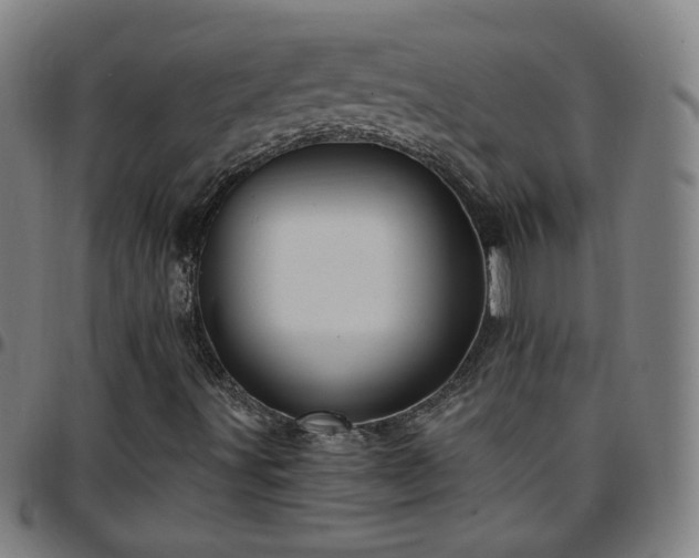 X0000097651491200803071457