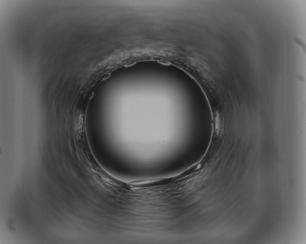 X0000097651492200803071457