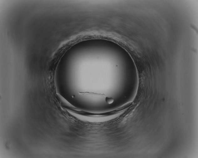 X0000097651494200803071457