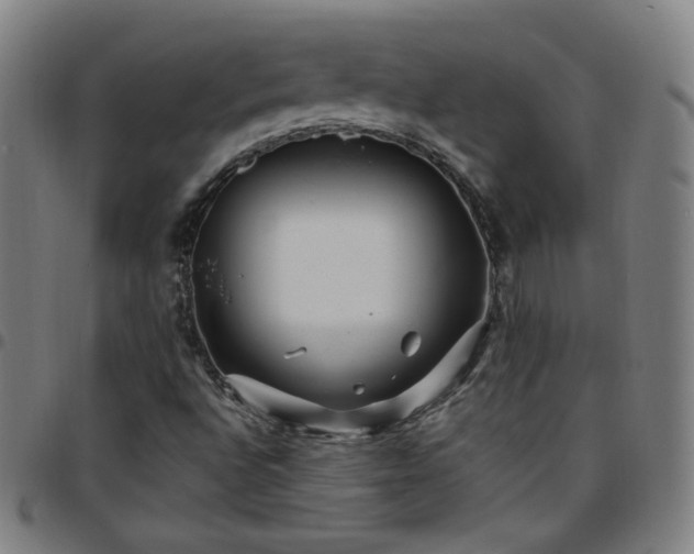 X0000097651496200803071457