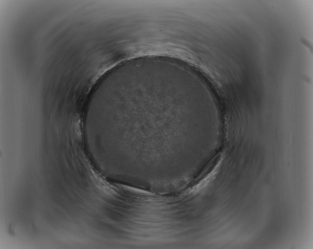 X0000097651497200803071457