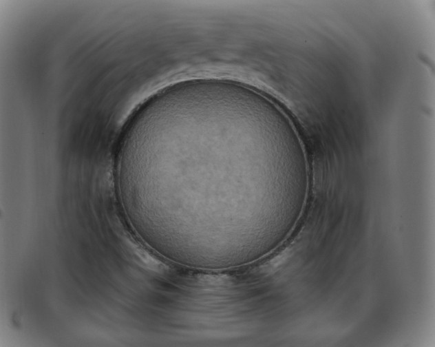 X0000097651498200803071457