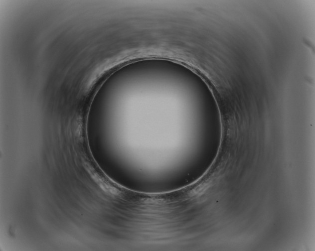 X0000097651499200803071457