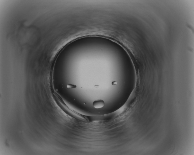 X0000097651500200803071457